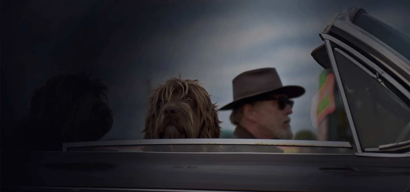 Mature couple and their dog travelling together in a classic convertible